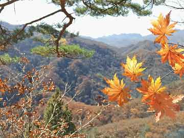 正版澳彩图库	和花炮厂爆炸2失联9伤与澳彩官网app下载